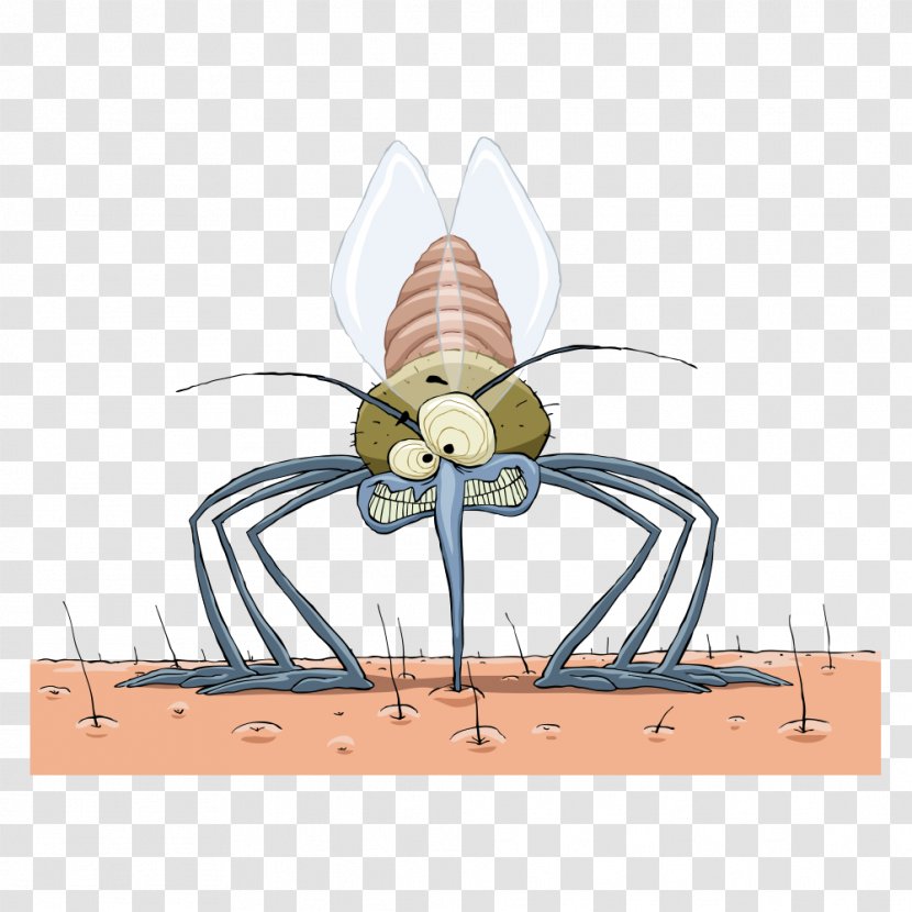 Mosquito Royalty-free Insect Repellent Clip Art - Membrane Winged - Vector Mosquitoes Transparent PNG