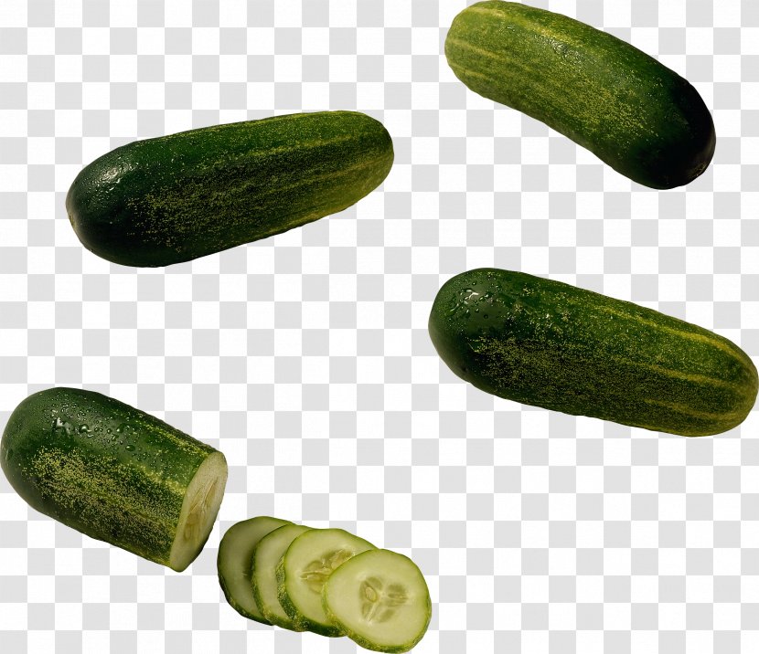 Pickled Cucumber Seed Fennel Vegetable Transparent PNG