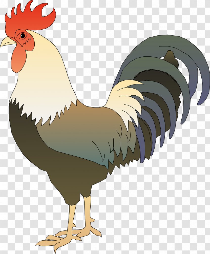 Chicken Rooster Clip Art - Livestock Transparent PNG