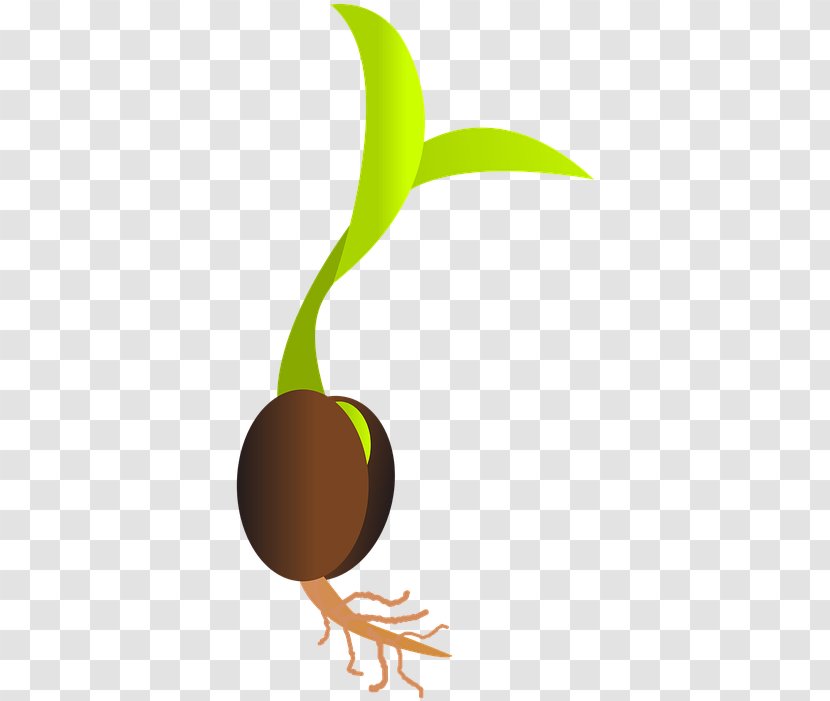 Cartoon Tree - Sowing - Logo Transparent PNG