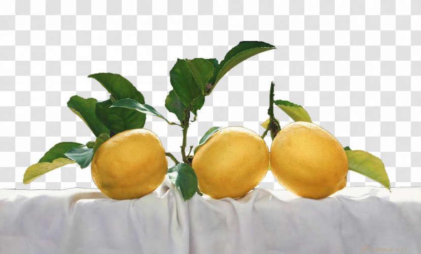 Meyer Lemon Vegetarian Cuisine Bitter Orange Citron - Closeup Transparent PNG
