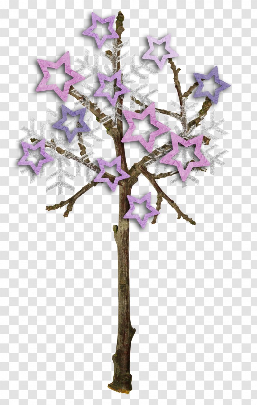 Tree Twig - Plant Stem Transparent PNG