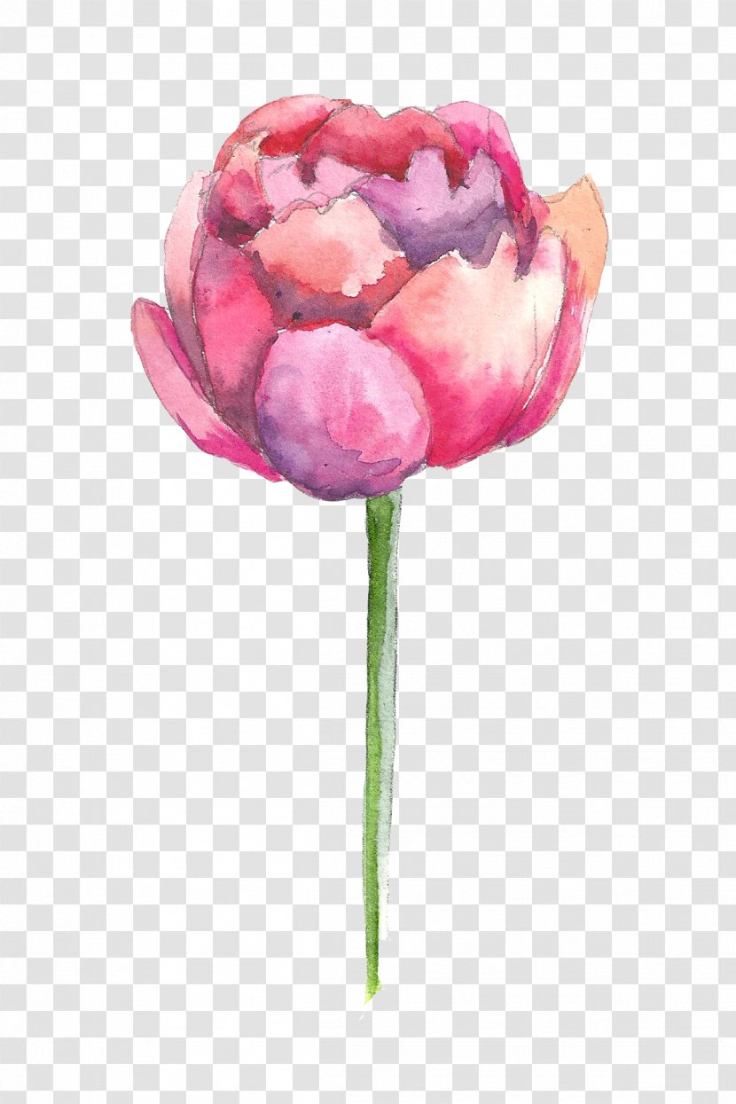 Watercolour Flowers Painting - Flower - Hand Painted Watercolor Transparent PNG