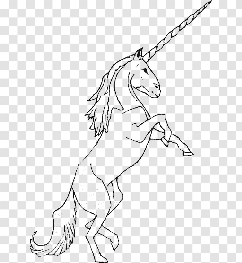 Unicorn Drawing Coloring Book Pegasus Legendary Creature Transparent PNG