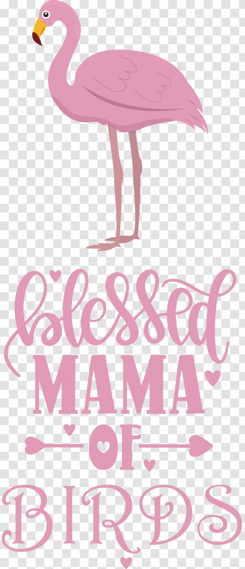 Bird Birds Blessed Mama Of Birds Transparent PNG