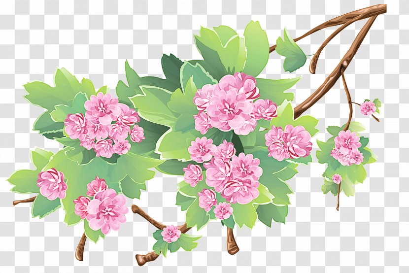 Flower Pink Plant Branch Cut Flowers - Spring Blossom Transparent PNG