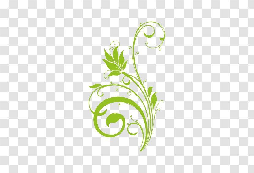 Vector Graphics Design Art Brazil - Plant - 11 Bis Transparent PNG