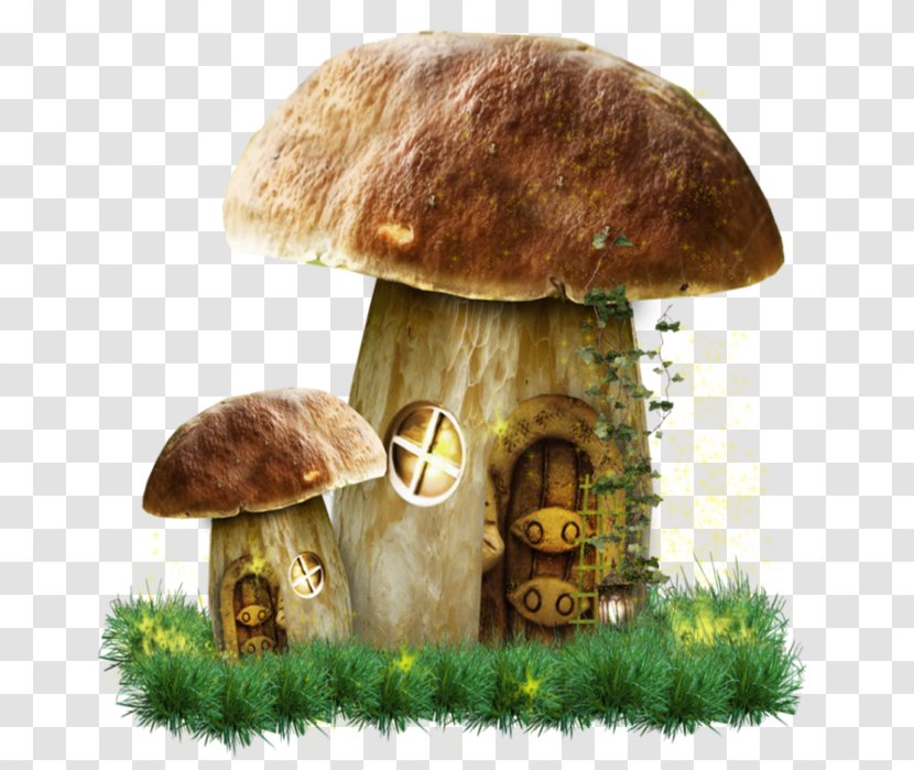 Fungus Hedgehog And Mushrooms Clip Art - Photography - Mushroom House Transparent PNG