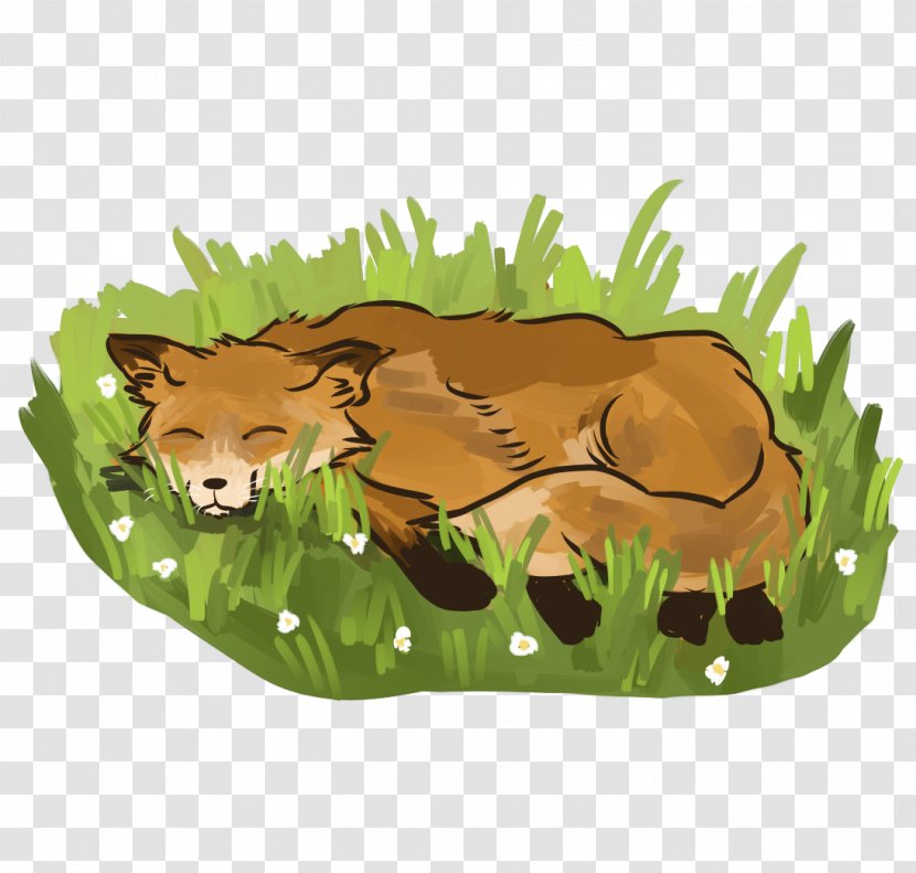 Lion Red Fox Cat Terrestrial Animal Fauna - Puma Transparent PNG