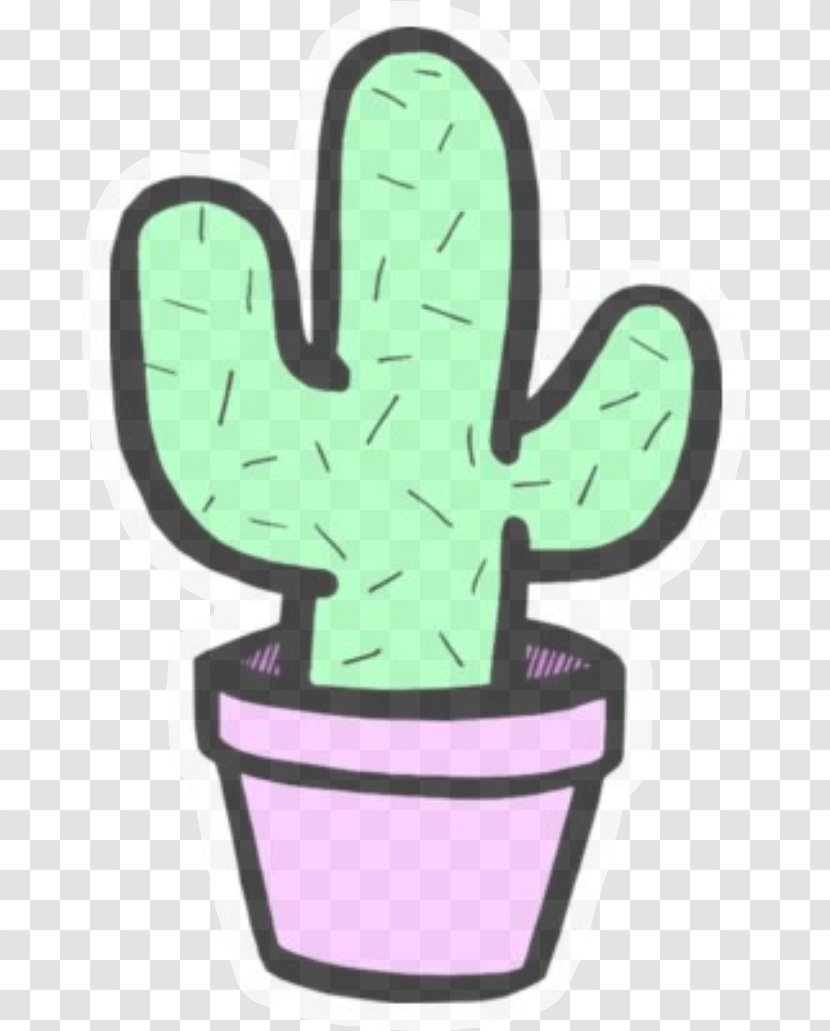 Cactus - Flowerpot - Flower Transparent PNG