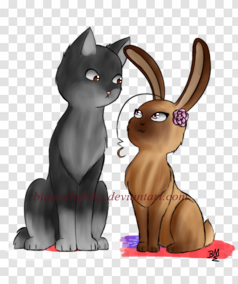 Kitten Whiskers Rabbit Cat Hare - Silhouette Transparent PNG
