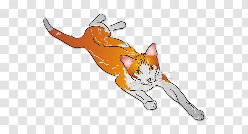 Whiskers Tabby Cat Kitten Domestic Short-haired - Carnivoran - Orange And White Transparent PNG