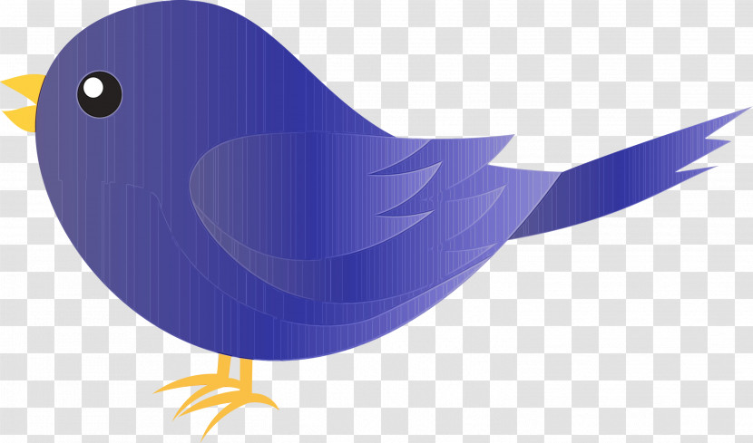 Bird Beak Songbird Perching Bird Bluebird Transparent PNG