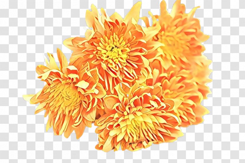 Flowers Background - Yellow - Tagetes Pollen Transparent PNG