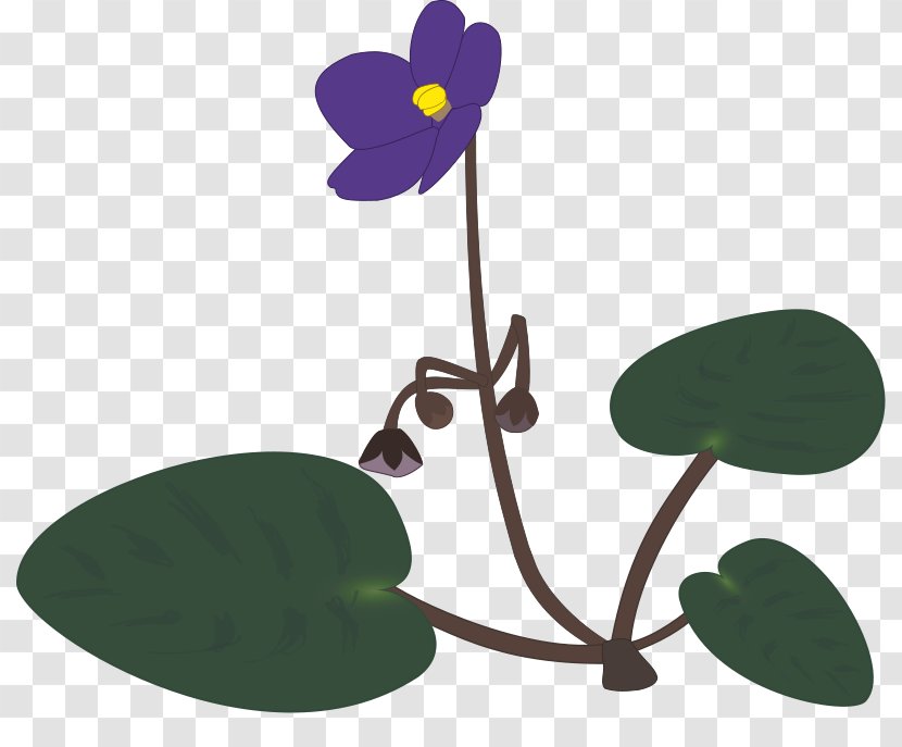 African Violets Clip Art - Flowering Plant - Paul Revere Clipart Transparent PNG