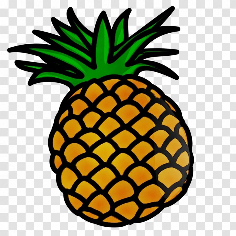 Pineapple - Paint - Poales Food Transparent PNG