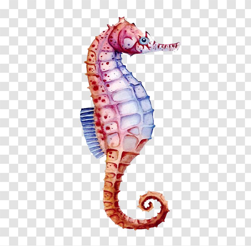 Seahorse Watercolor Painting Drawing - Color - Hippo Transparent PNG