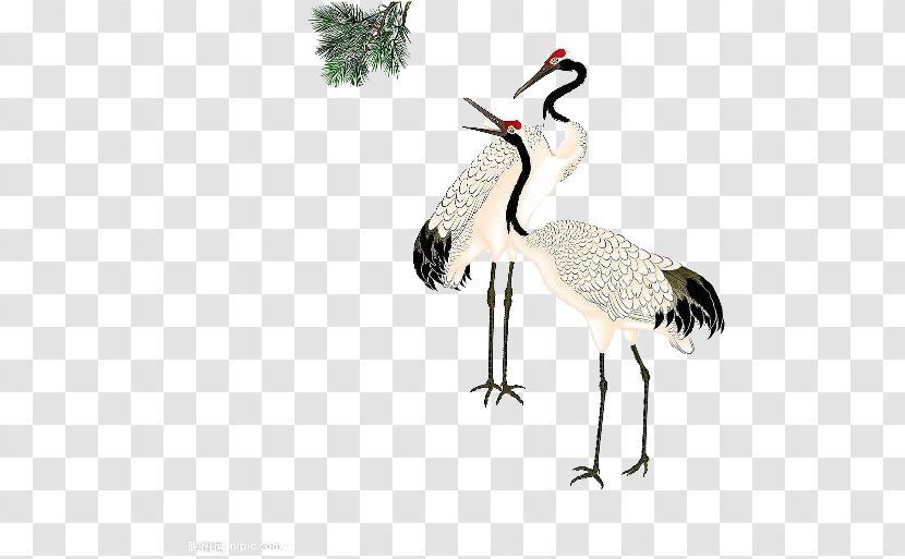 Red-crowned Crane Clip Art - Information - Leisurely Transparent PNG
