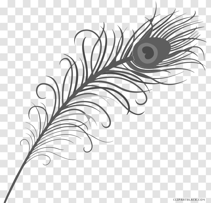 Feather Asiatic Peafowl Clip Art Tattoo - Flower Transparent PNG