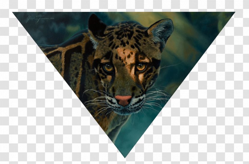 Tiger Big Cat Fauna Wildlife - Like Mammal Transparent PNG