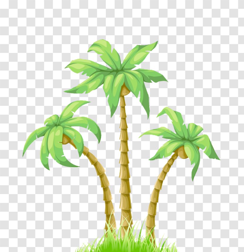 Coconut Tree Drawing - Date Palm - Perennial Plant Vascular Transparent PNG