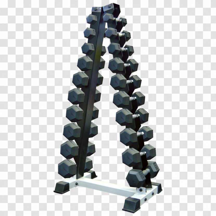 Dumbbell Weight Training Barbell Physical Fitness Natural Rubber - Australia - Display Rack Transparent PNG