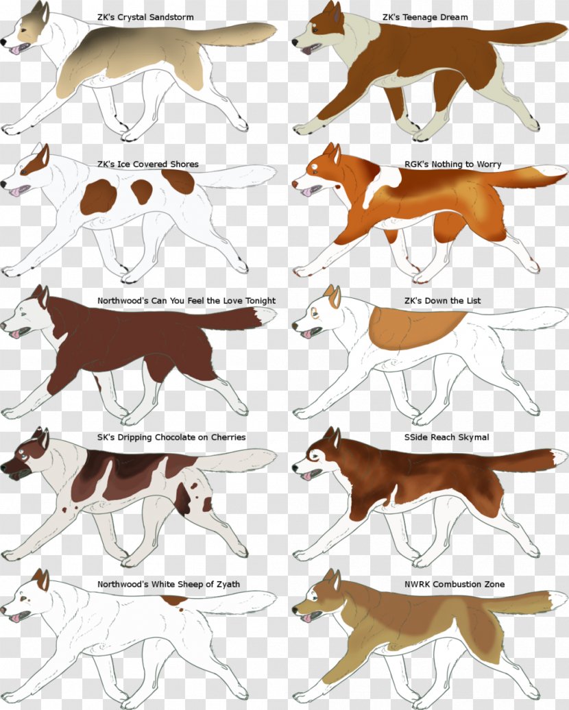 Canidae Dog Clip Art - Carnivoran Transparent PNG