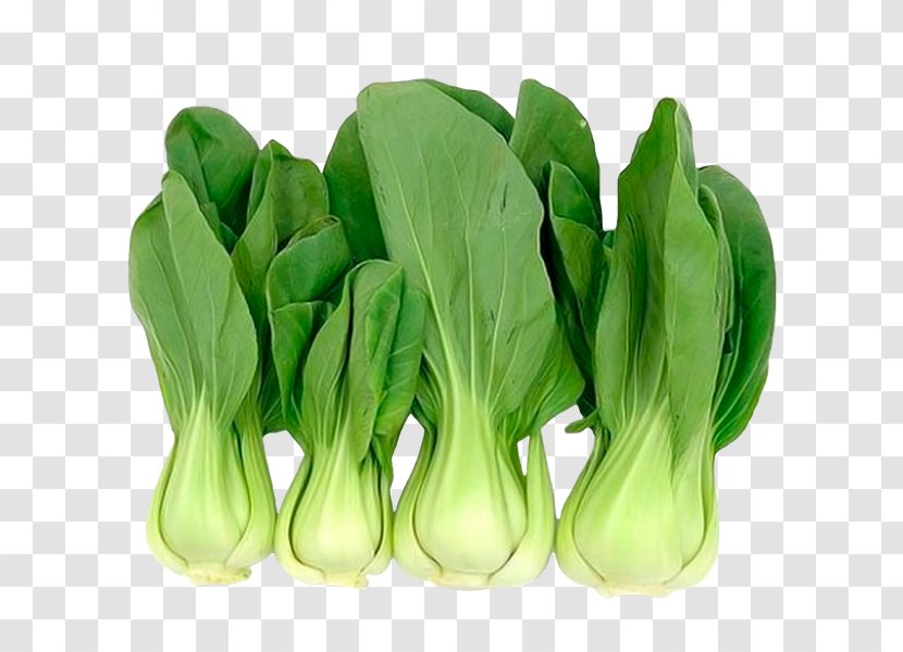 Chinese Cuisine Cabbage Bok Choy Asian Leaf Vegetable - Napa Transparent PNG