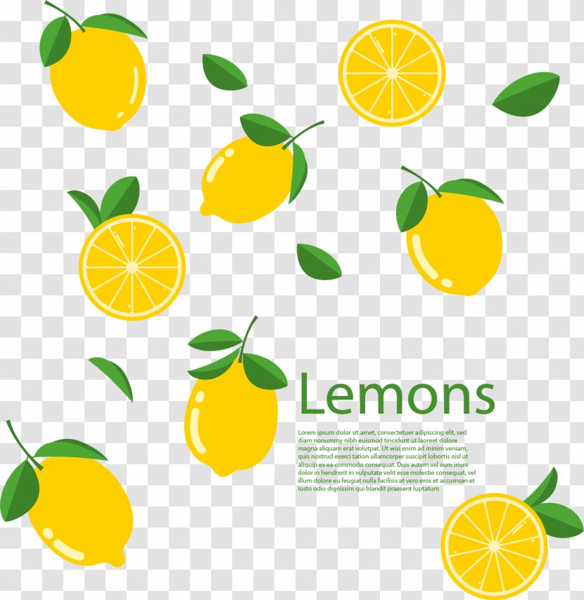 Lemon Lime Euclidean Vector Citron - Yellow - Hand Painted Transparent PNG