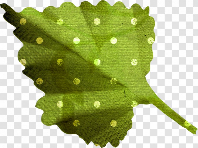 Leaf Drawing - Tree Transparent PNG