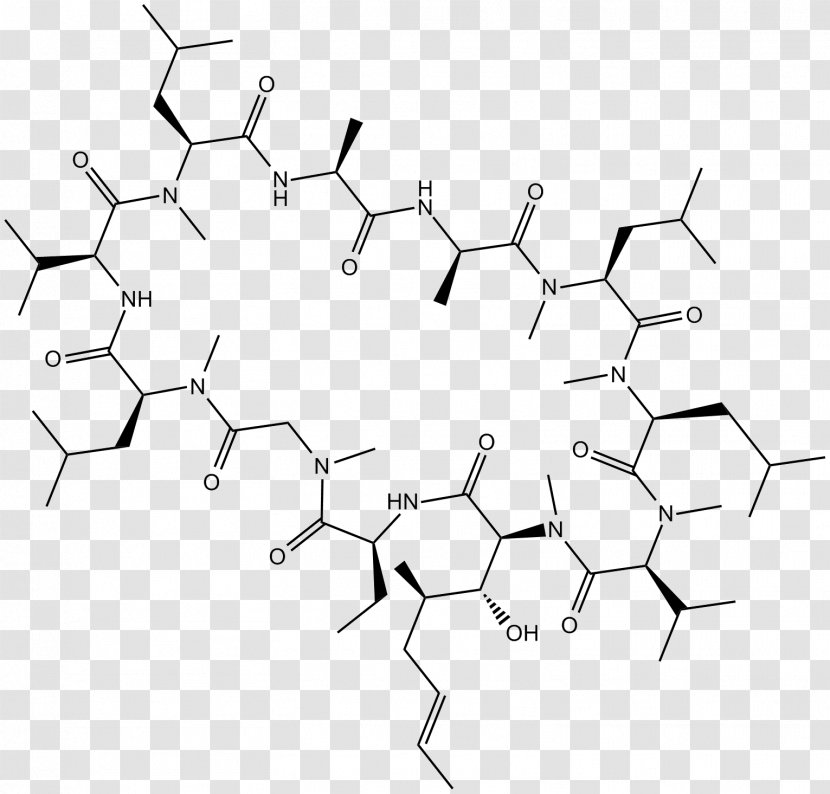 Cyclosporine Cyclophilin Calcineurin Inhibitor Immunosuppressant Immunosuppressive Drug - Protein Phosphatase - Raas Transparent PNG