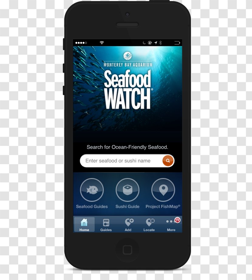 Feature Phone Smartphone Handheld Devices Multimedia Seafood Watch Transparent PNG