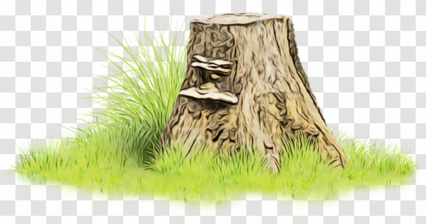 Tree Stump - Wood Plant Transparent PNG