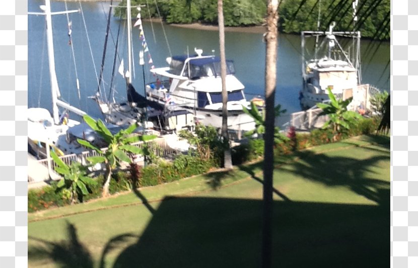 Tree Property Recreation Water - Overlooking Transparent PNG