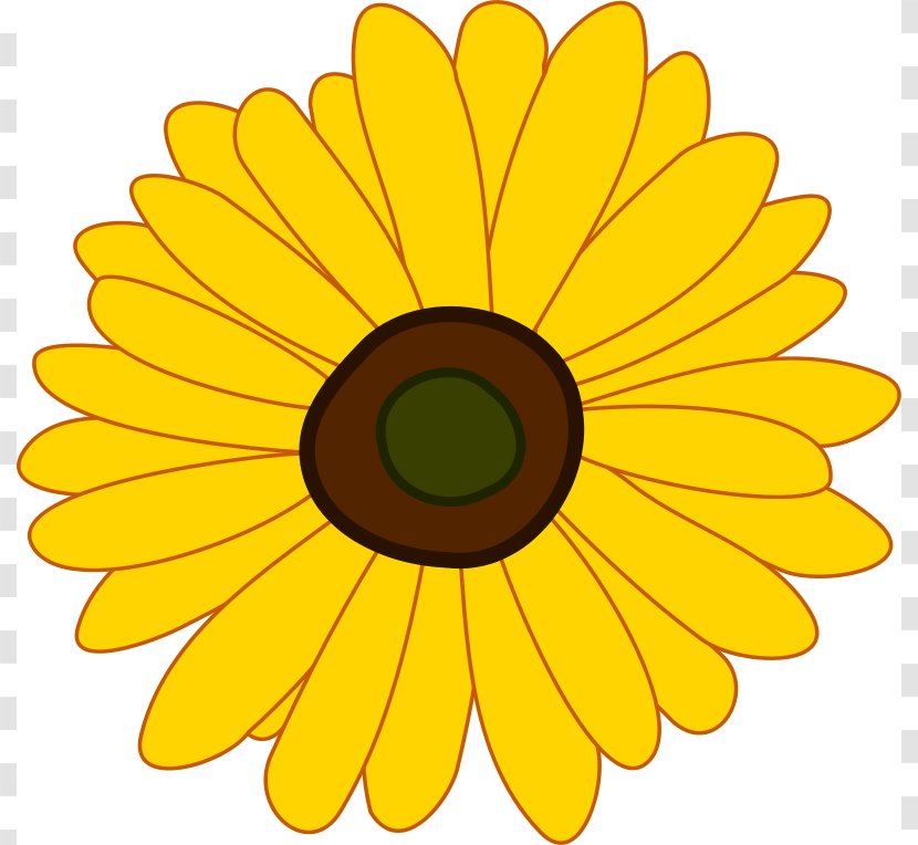 Common Sunflower Clip Art - Flower Transparent PNG