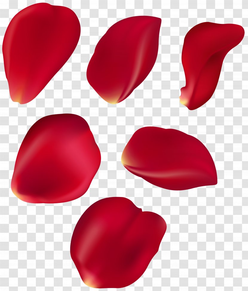 Petal Blue Rose Clip Art - Valentine S Day - Floating Petals Transparent PNG
