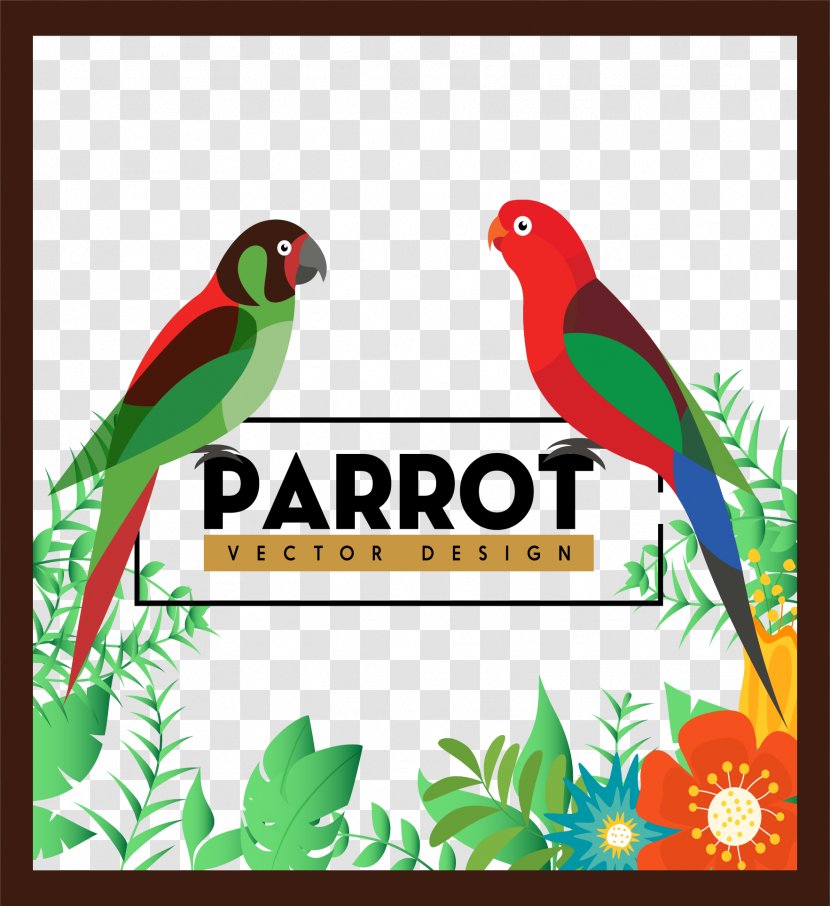 Parrot Bird Adobe Illustrator - Advertising - Two Red Parrots Transparent PNG