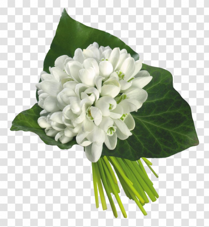 Galanthus Nivalis Flower Bouquet Wedding Bride - Lilium - Snowdrop Transparent PNG
