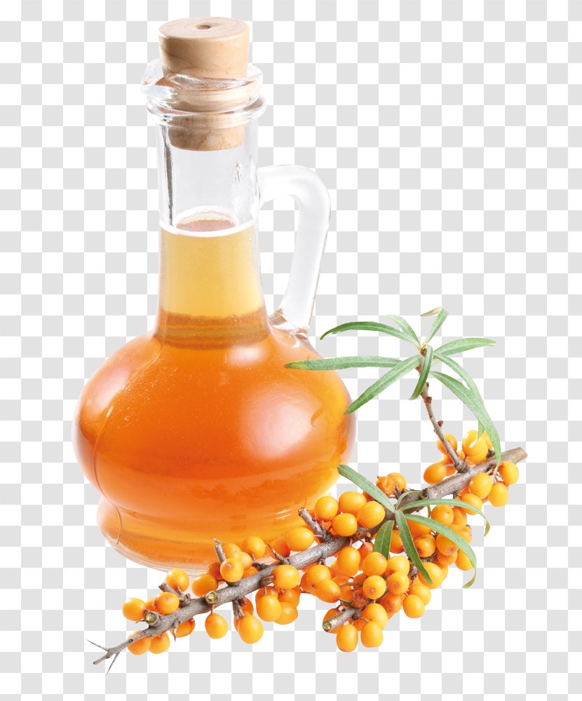 Sea Buckthorn Oil Dietary Supplement Seaberry Health - Disease Transparent PNG