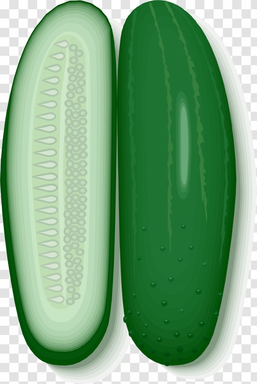 Cucumber Clip Art Transparent PNG