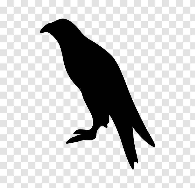 Bald Eagle Bird White-tailed Clip Art - Black And White Transparent PNG