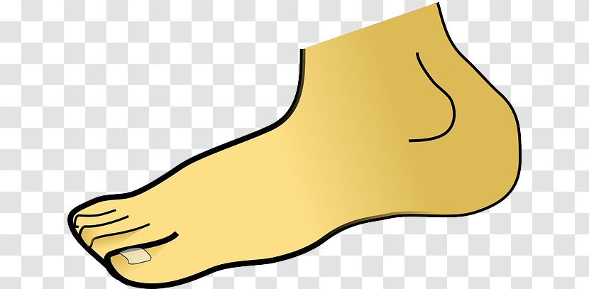 Foot Clip Art - Ankle - Parts Of The Body Transparent PNG