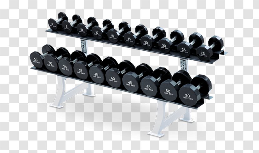 Dumbbell Strength Training Fitness Centre Life Weight - Hardware - Rack Transparent PNG