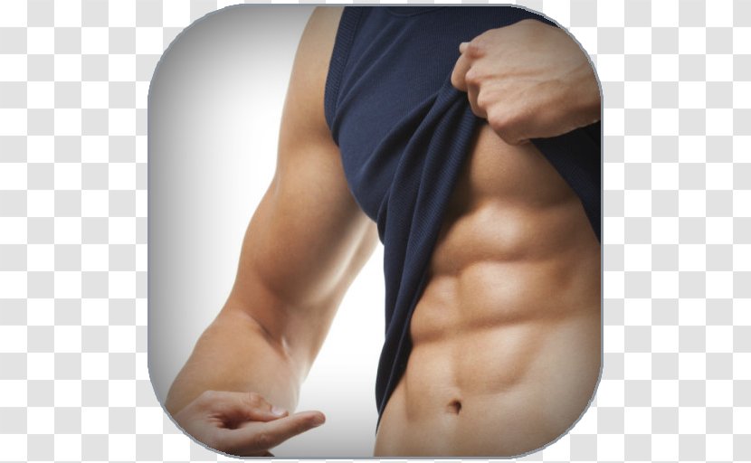 Rectus Abdominis Muscle Exercise Physical Strength Crunch - Tree - 6 Pack Abs Transparent PNG