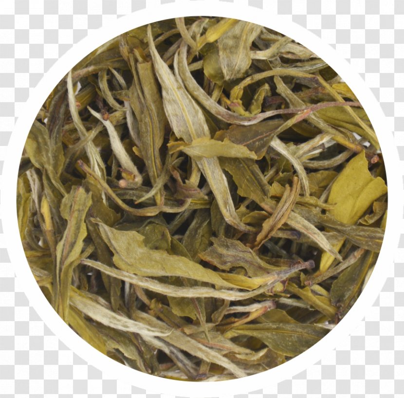 Nilgiri Tea Green Dianhong White - Chun Mee - Blackish Transparent PNG