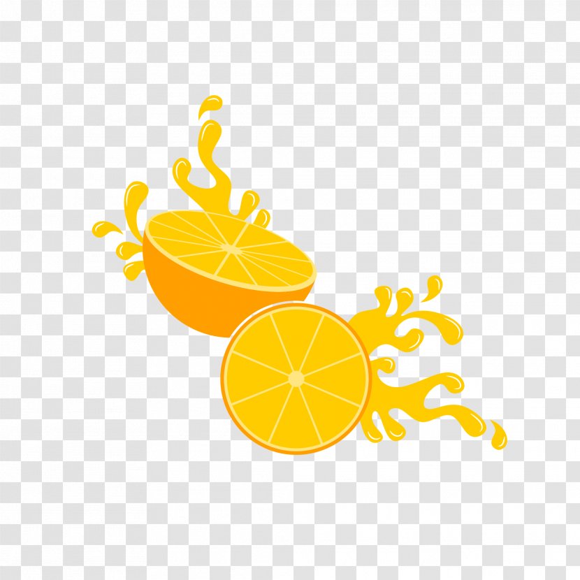 Logo Orange Graphic Design Transparent PNG
