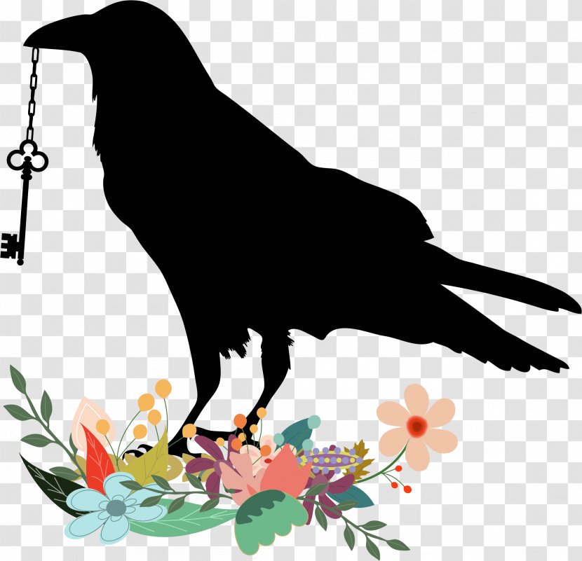 Common Raven Bird House Crow Transparent PNG