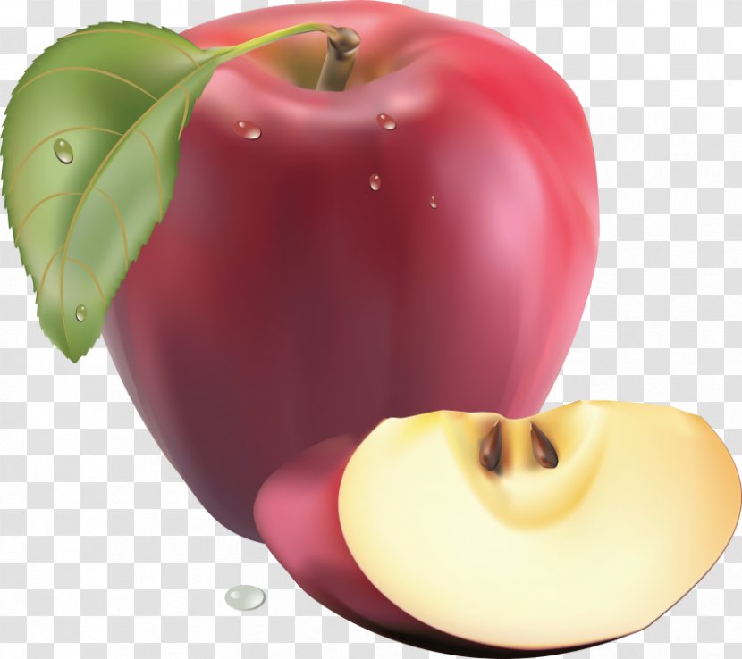 Apple Vector Graphics Clip Art Juice - Mcintosh Transparent PNG