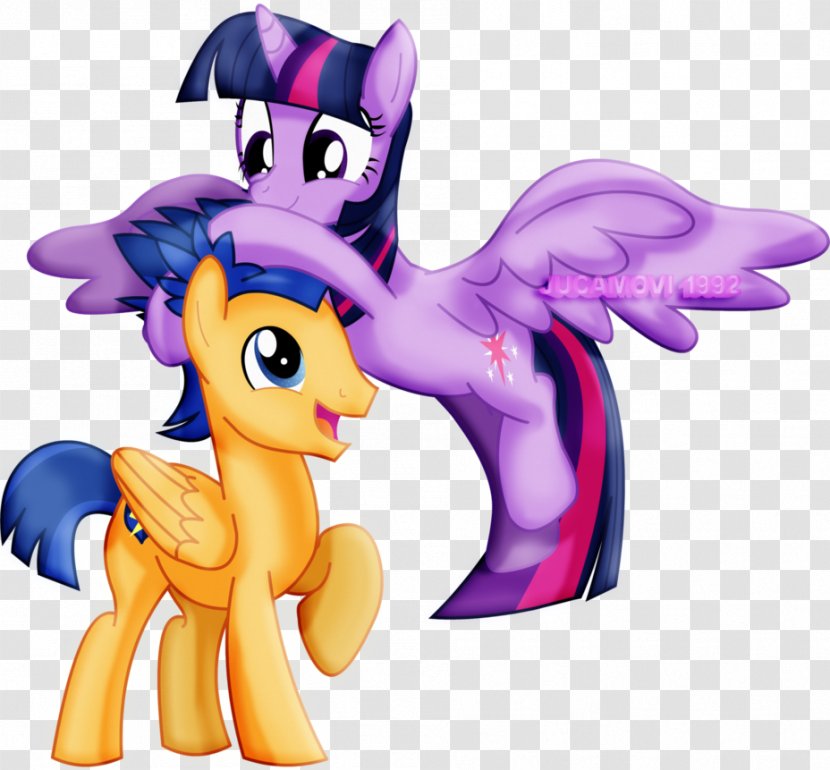 My Little Pony Twilight Sparkle Flash Sentry Princess Skystar Transparent PNG