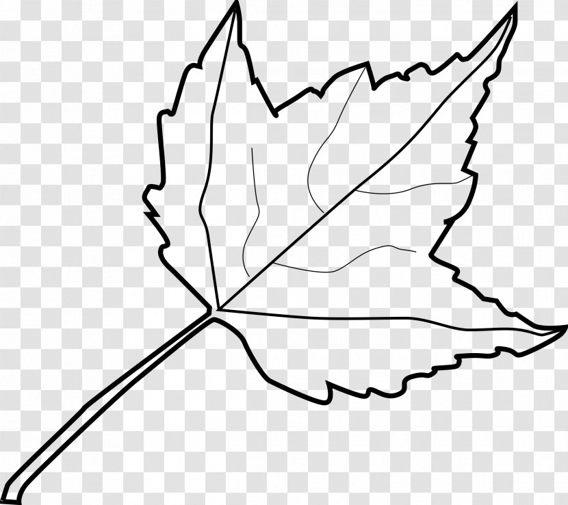 Black And White Flower - Line Art - Deciduous Herbaceous Plant Transparent PNG